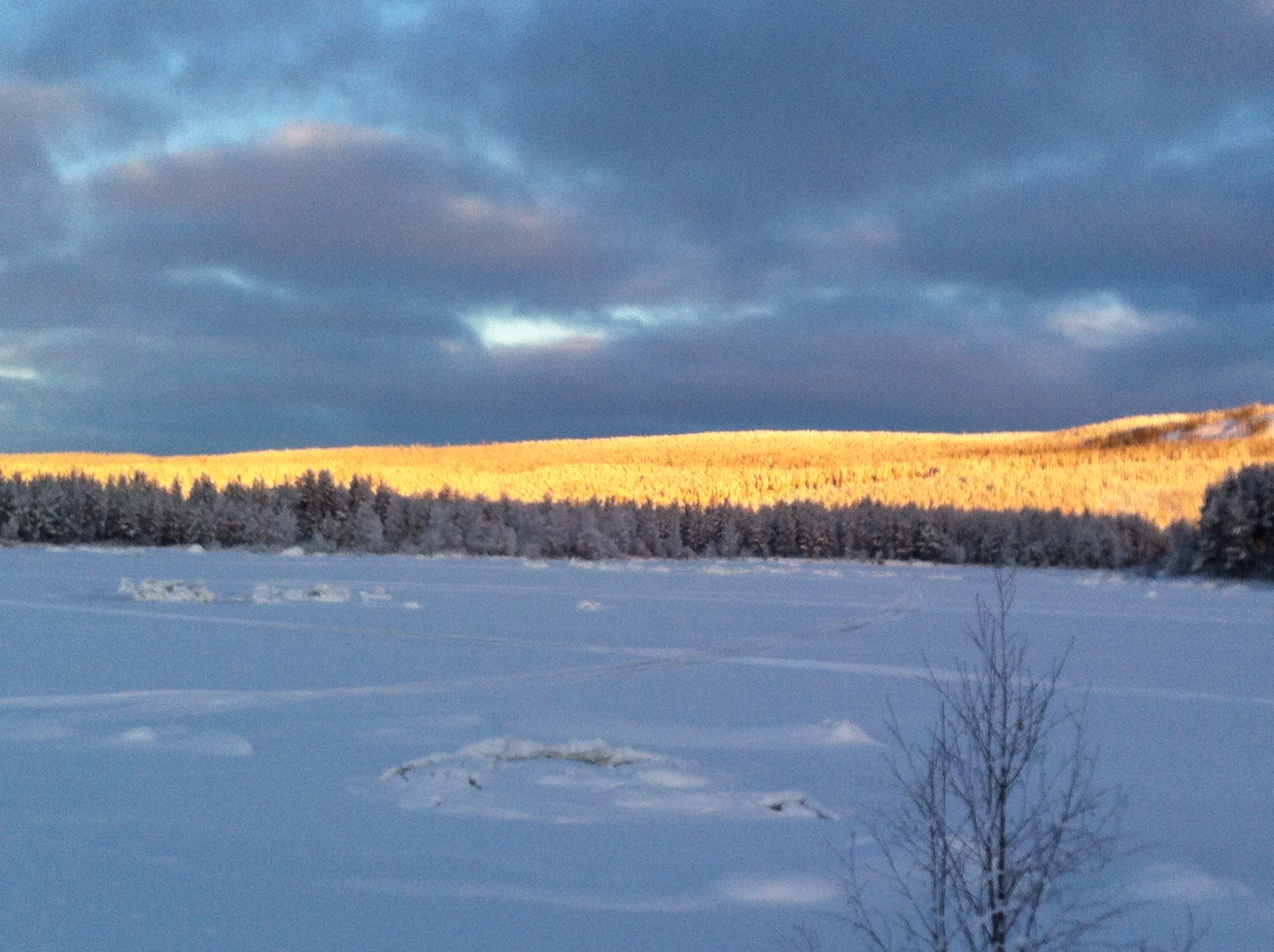 Nyårskrönika