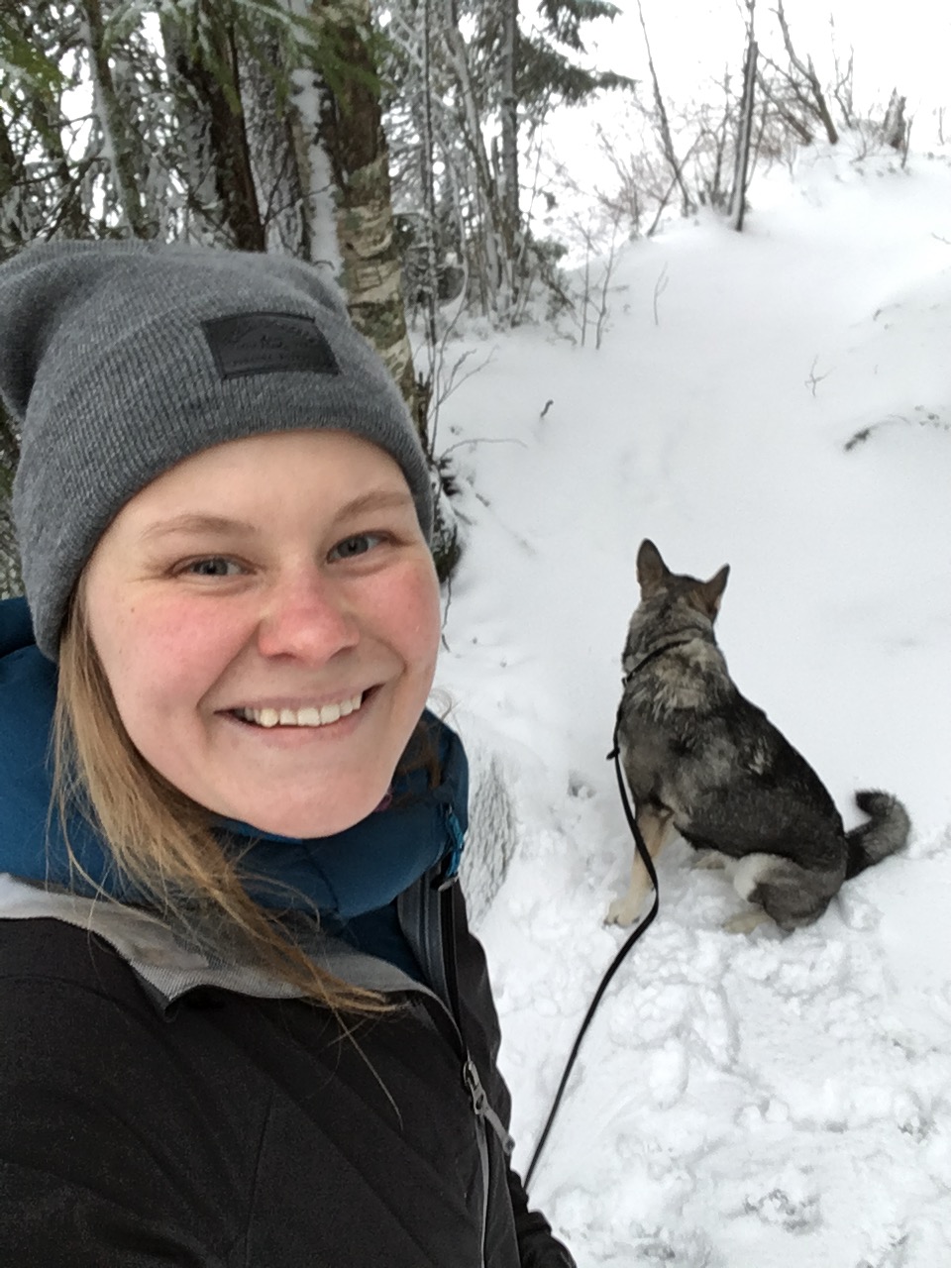 Dags att införa rovdjursskatt nu