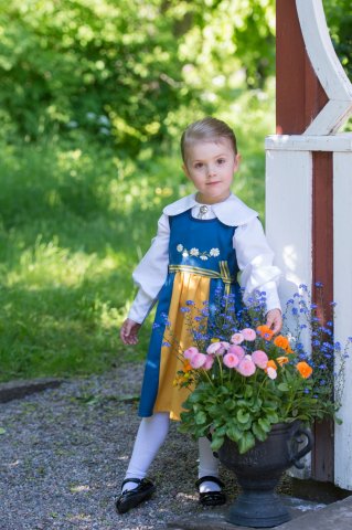 Grattis på Nationaldagen Sverige !