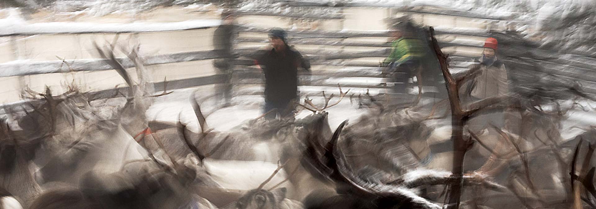 Kallelse till årsstämma 2020